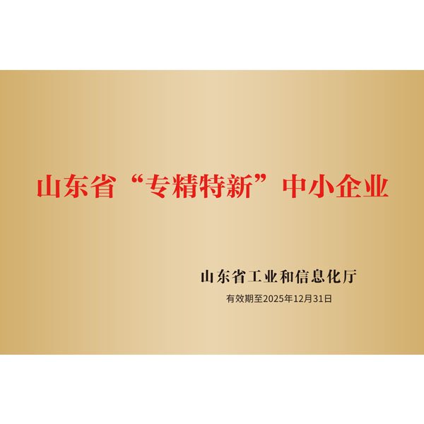 山东省“专精特新”证书